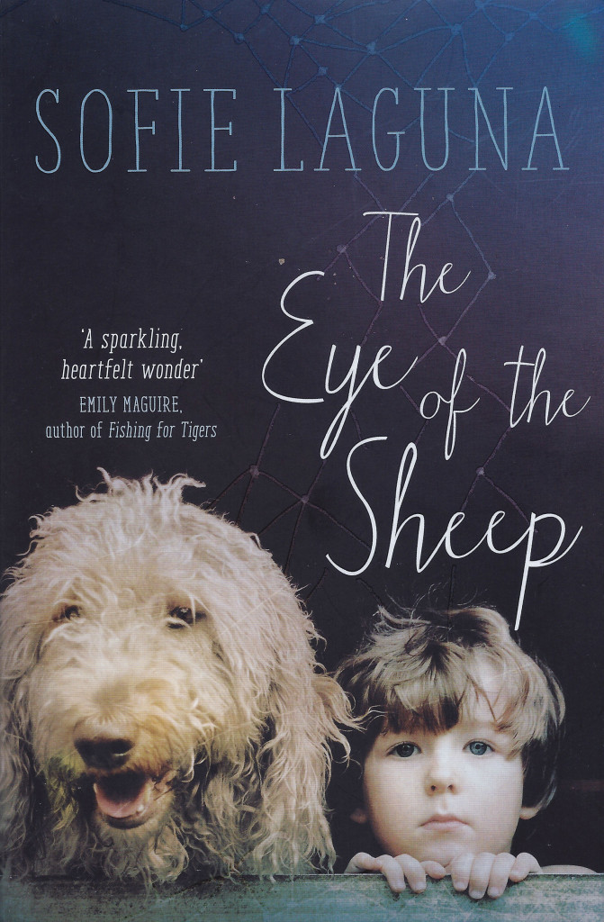 eye-of-the-sheep
